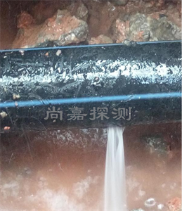 惠济消防管道漏点探测